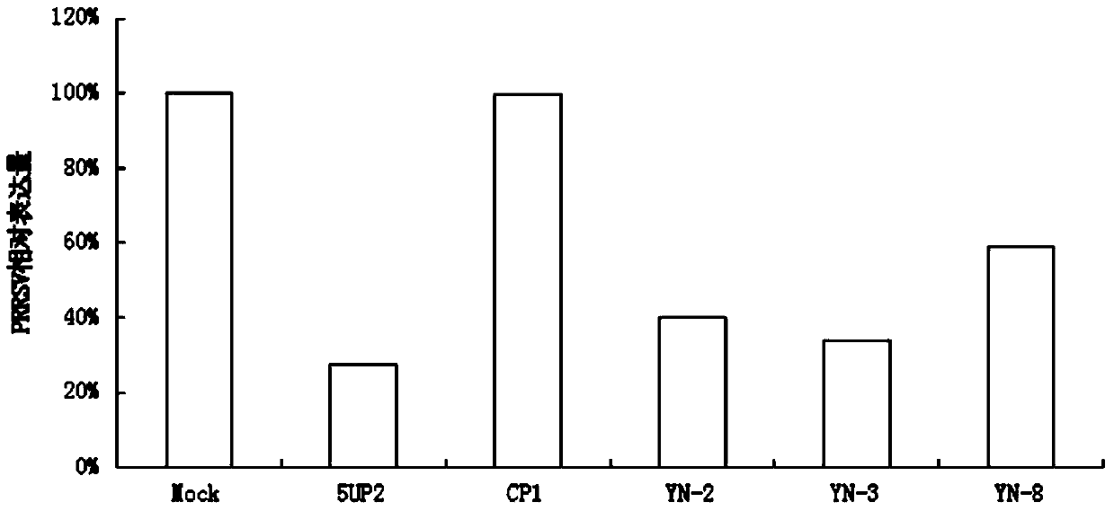 Antisense DNA (Deoxyribose Nucleic Acid) sequence for treating and preventing porcine reproductive and respiratory syndrome and application thereof