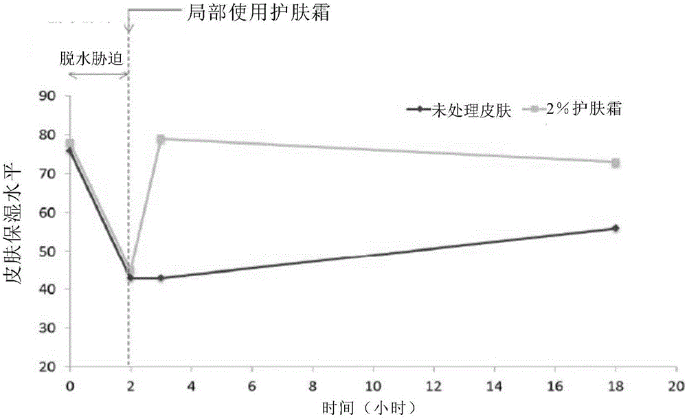 Cosmetic composition containing brown algae and red algae essence