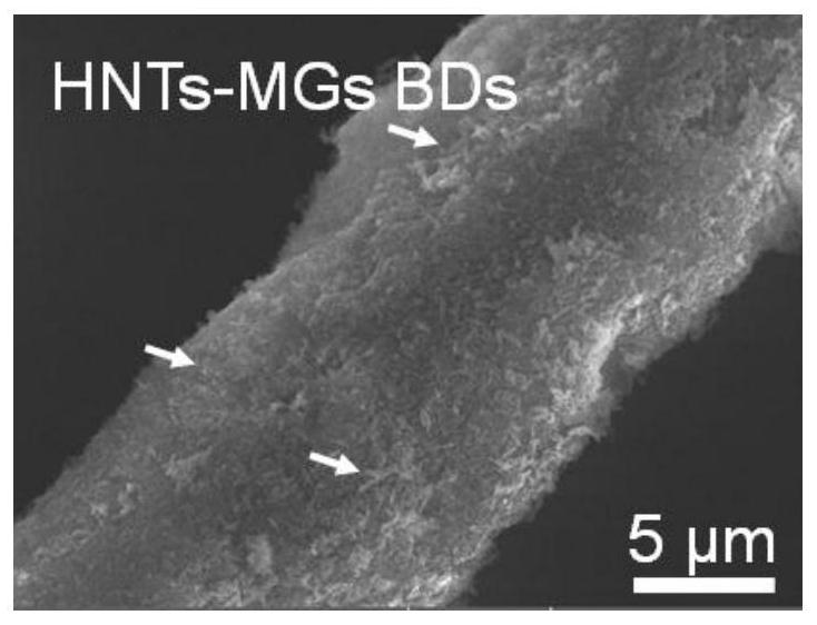 Halloysite-melanin surface codeposition hemostatic bandage and preparation method thereof