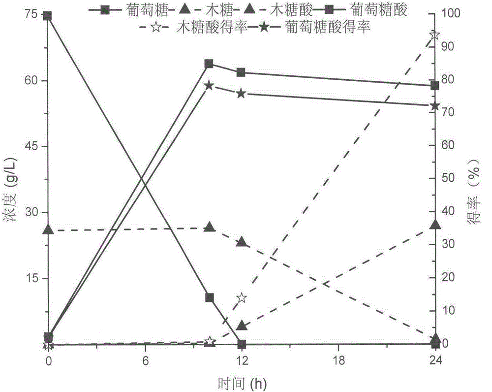 Method of co-catalytically synthesizing various saccharic acids by virtue of synergism of metal ions and selective regulation whole-cell