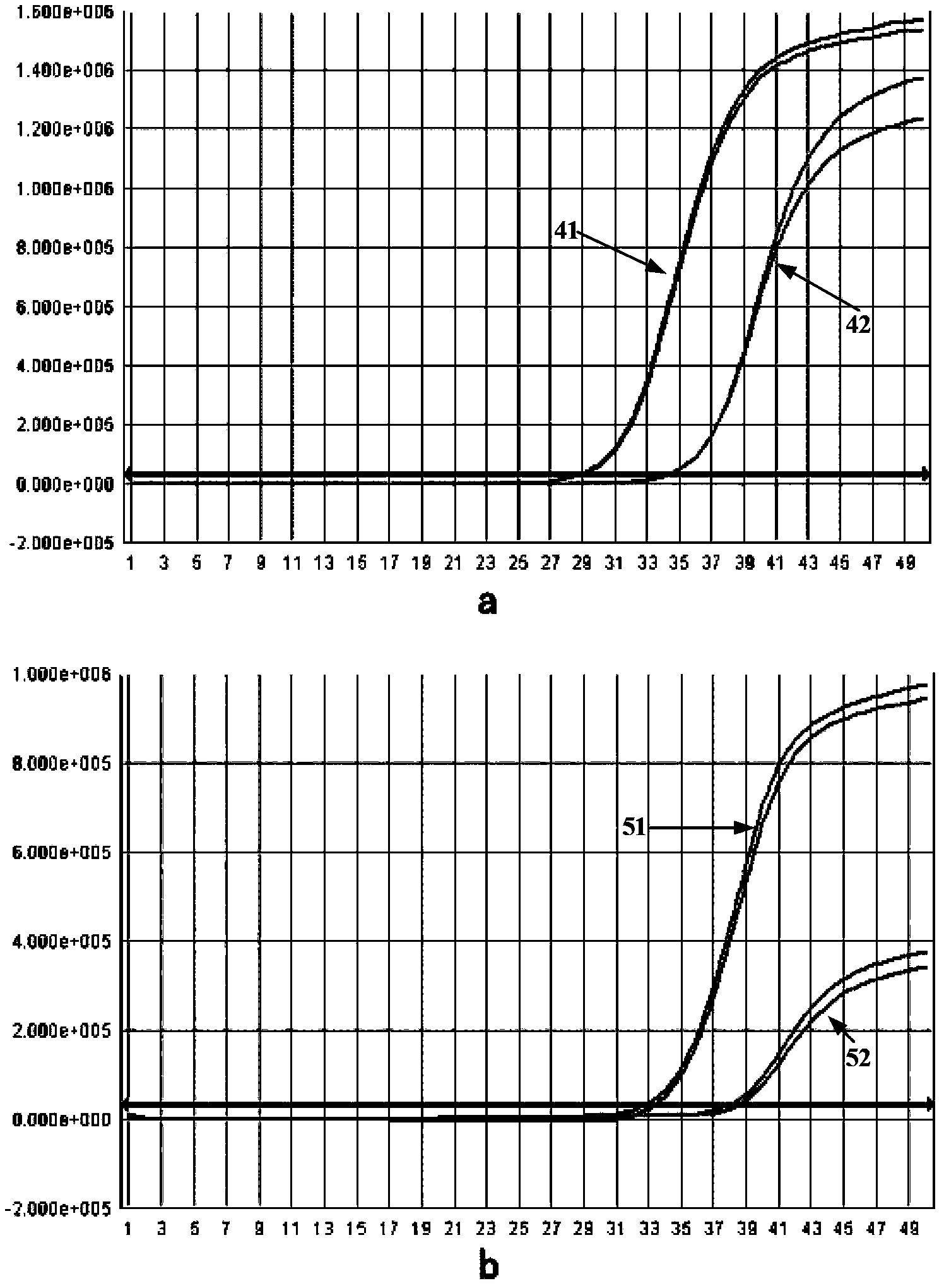 Mutant Taq enzyme and preparation method thereof