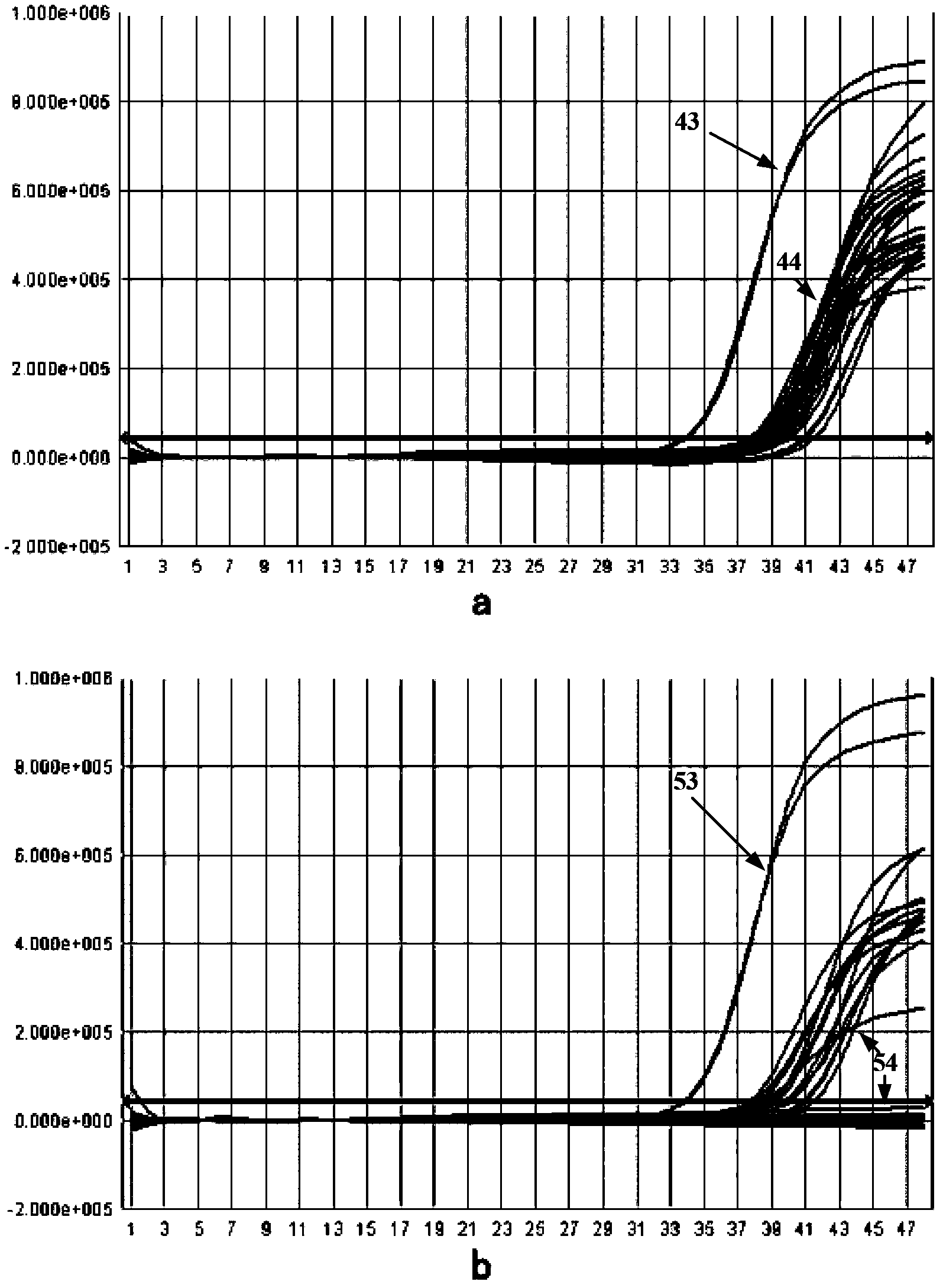 Mutant Taq enzyme and preparation method thereof