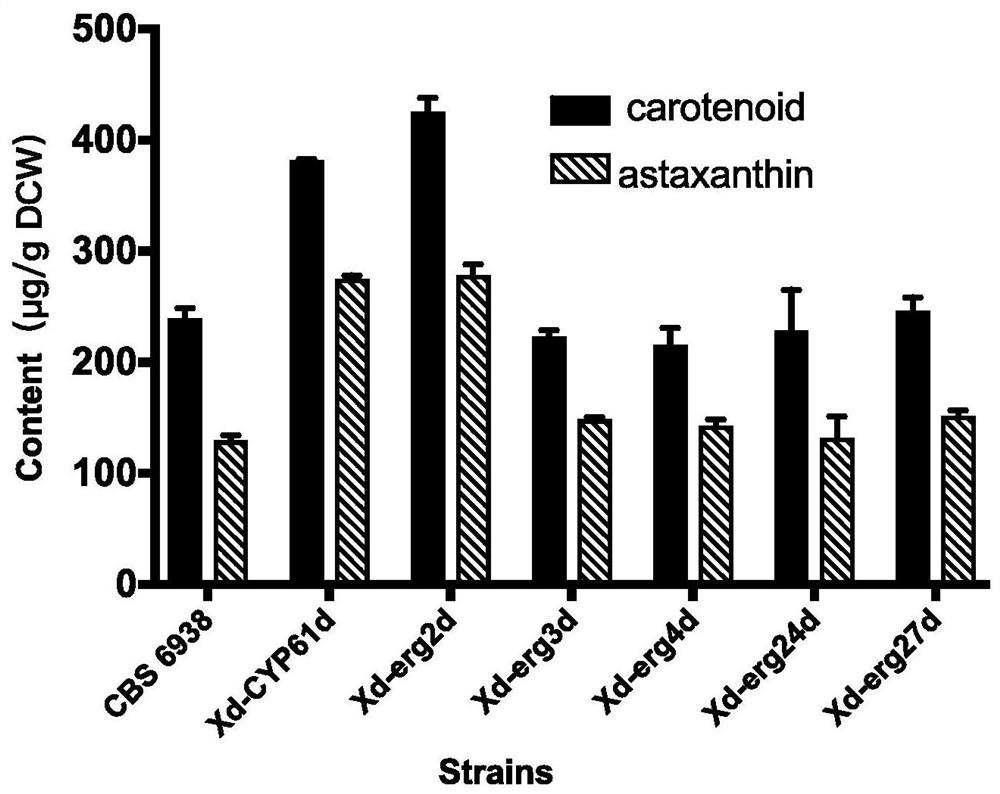 A kind of method for improving astaxanthin production of Phaffia rhodozyma