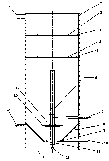 Eutrophic water body phycomycete symbiosis purification technique