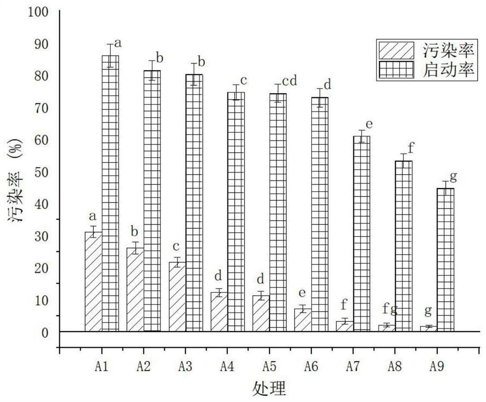 Tissue culture method of edible roses