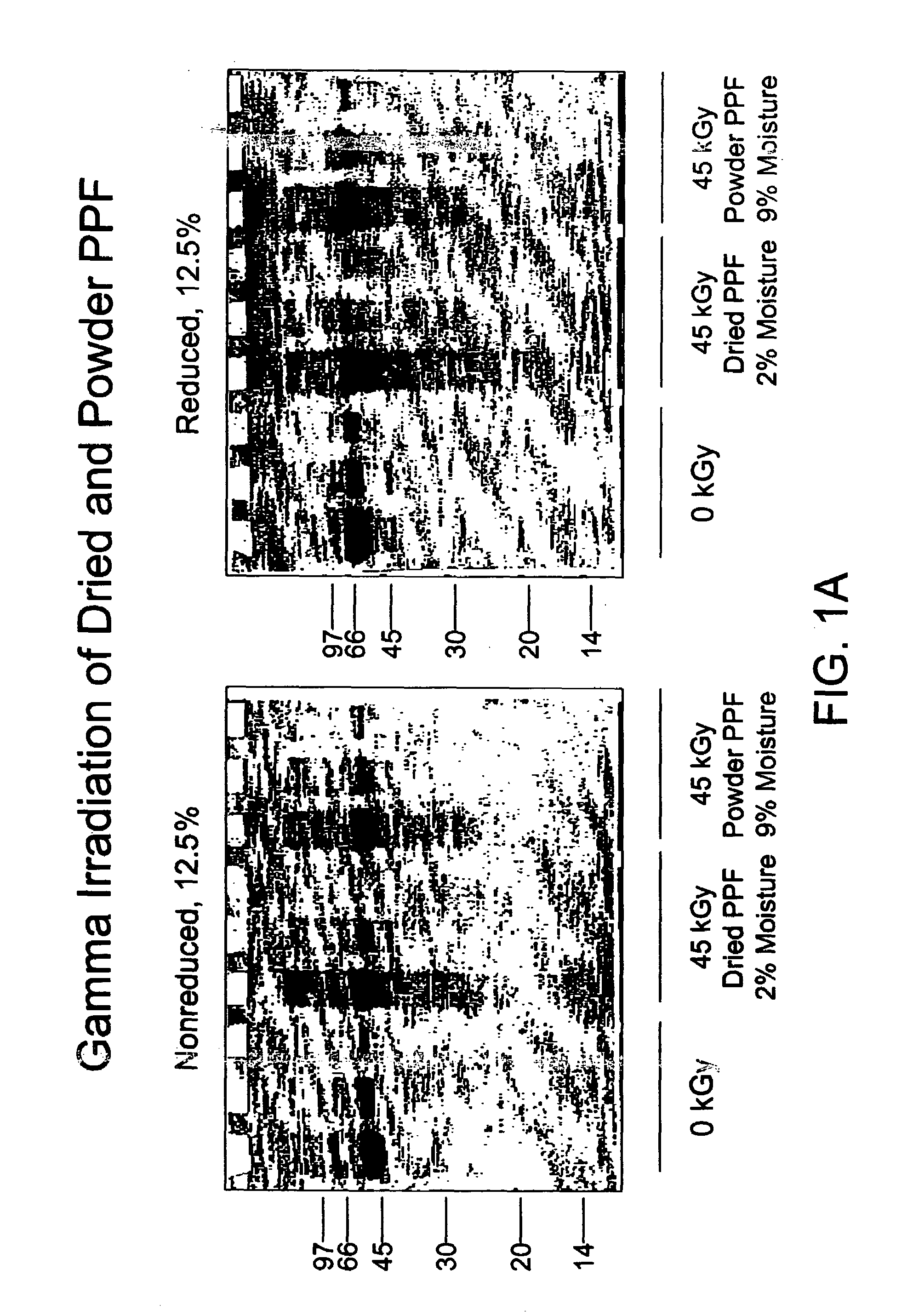 Methods for sterilizing preparations containing albumin