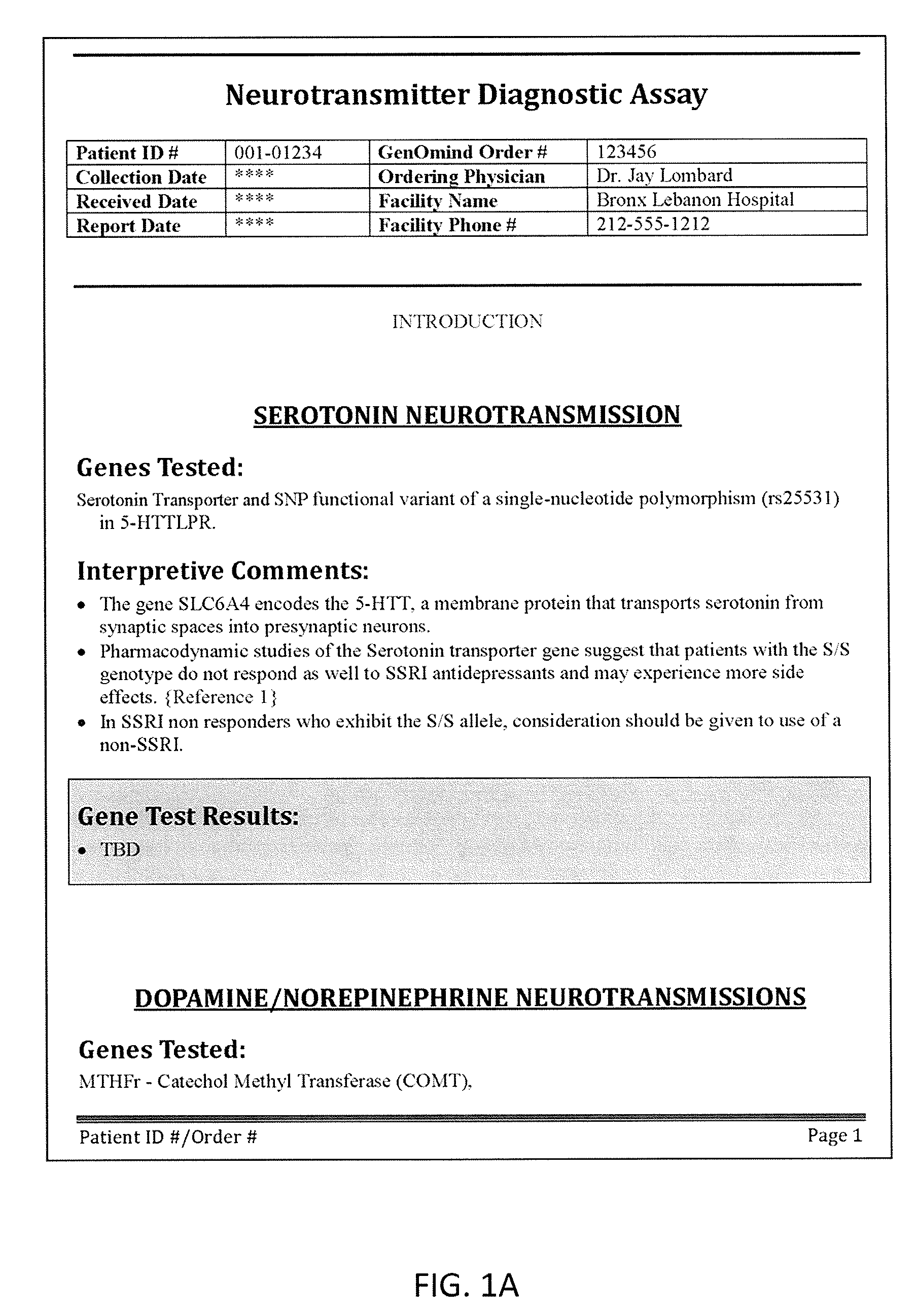 Neuropsychiatric test reports