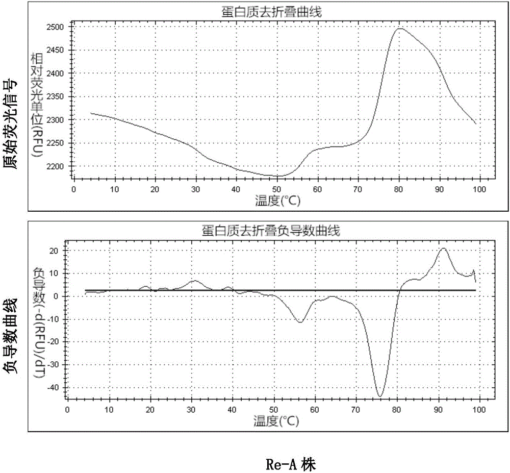 Method for detecting heat stability of foot and mouth disease viral vaccine with hot luminescence technology and application thereof