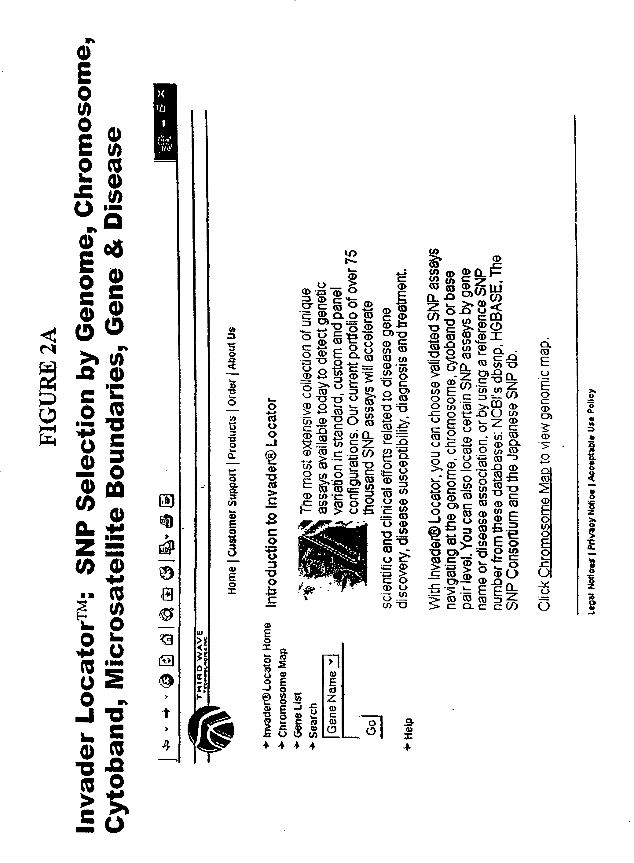 Nucleic acid detection assays