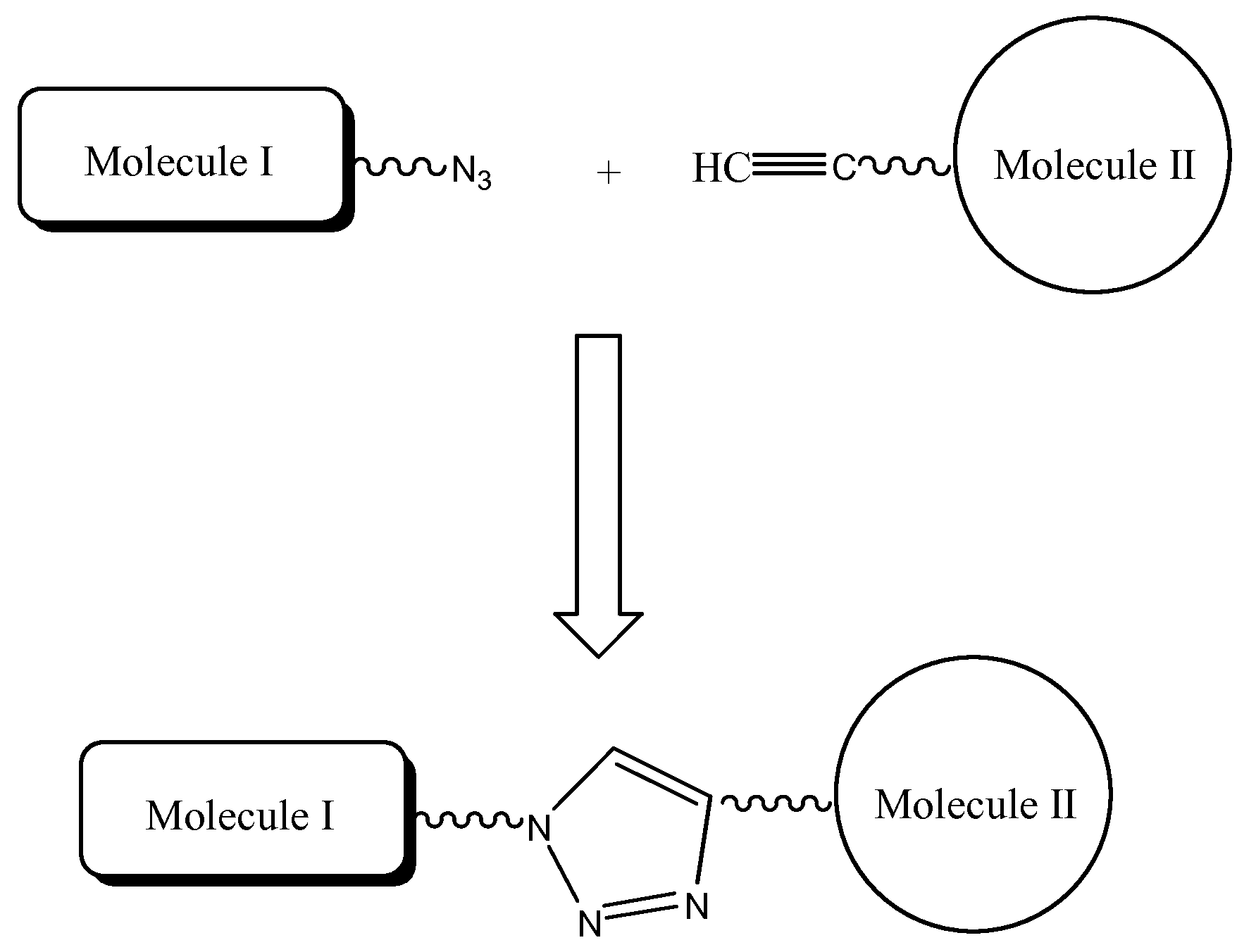 Compositions, probes and conjugates and uses thereof