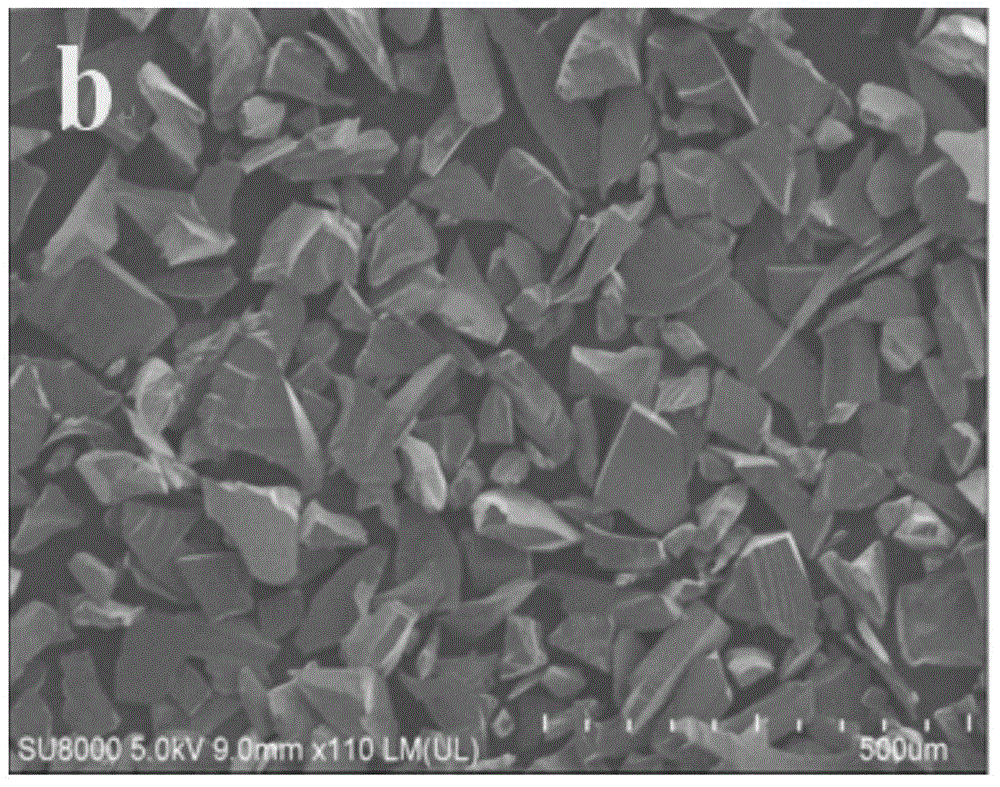 Composite photocatalyst for photocatalytic water splitting for hydrogen generation and preparation method and application of composite photocatalyst