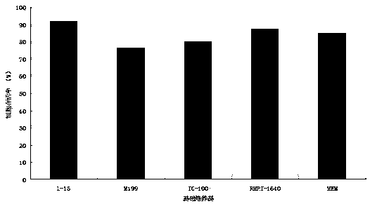 Haliotis discus hannai cell culture medium and construction method of cell line