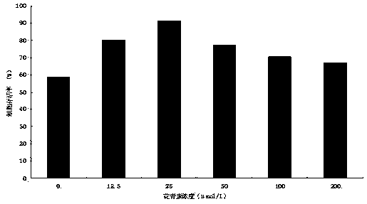 Haliotis discus hannai cell culture medium and construction method of cell line