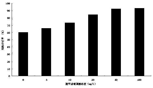 Haliotis discus hannai cell culture medium and construction method of cell line