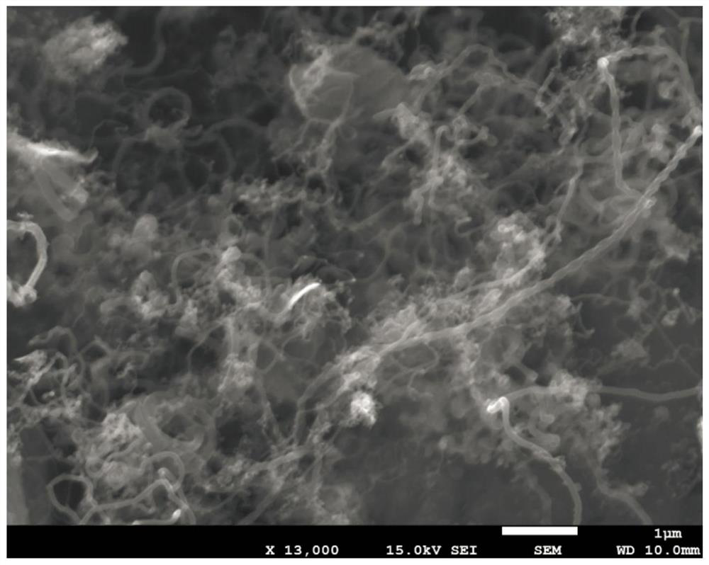 C/TiN coated lithium tritium orthosilicate breeding agent and preparation method and preparation device system thereof