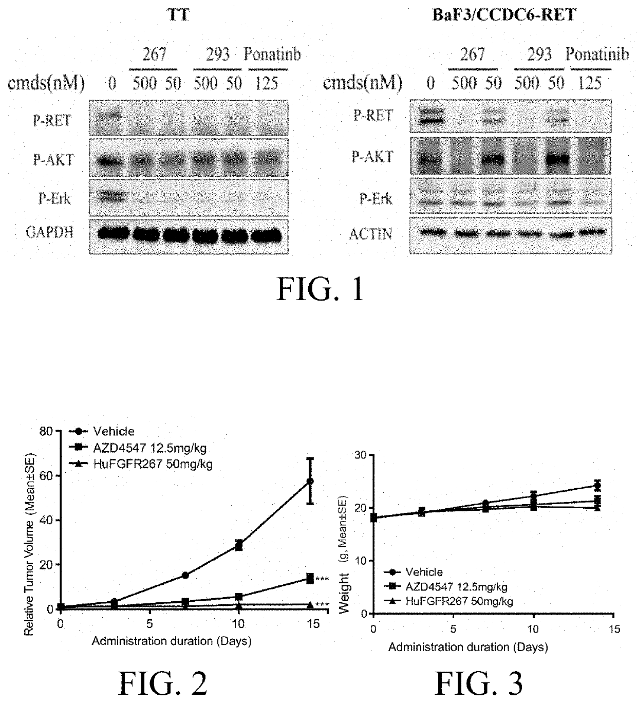 O-aminoheteroaryl alkynyl-containing compound, preparation method therefor, and use thereof