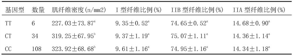 A method for identifying the size of muscle fiber density of pigs and the primer pair used therefor