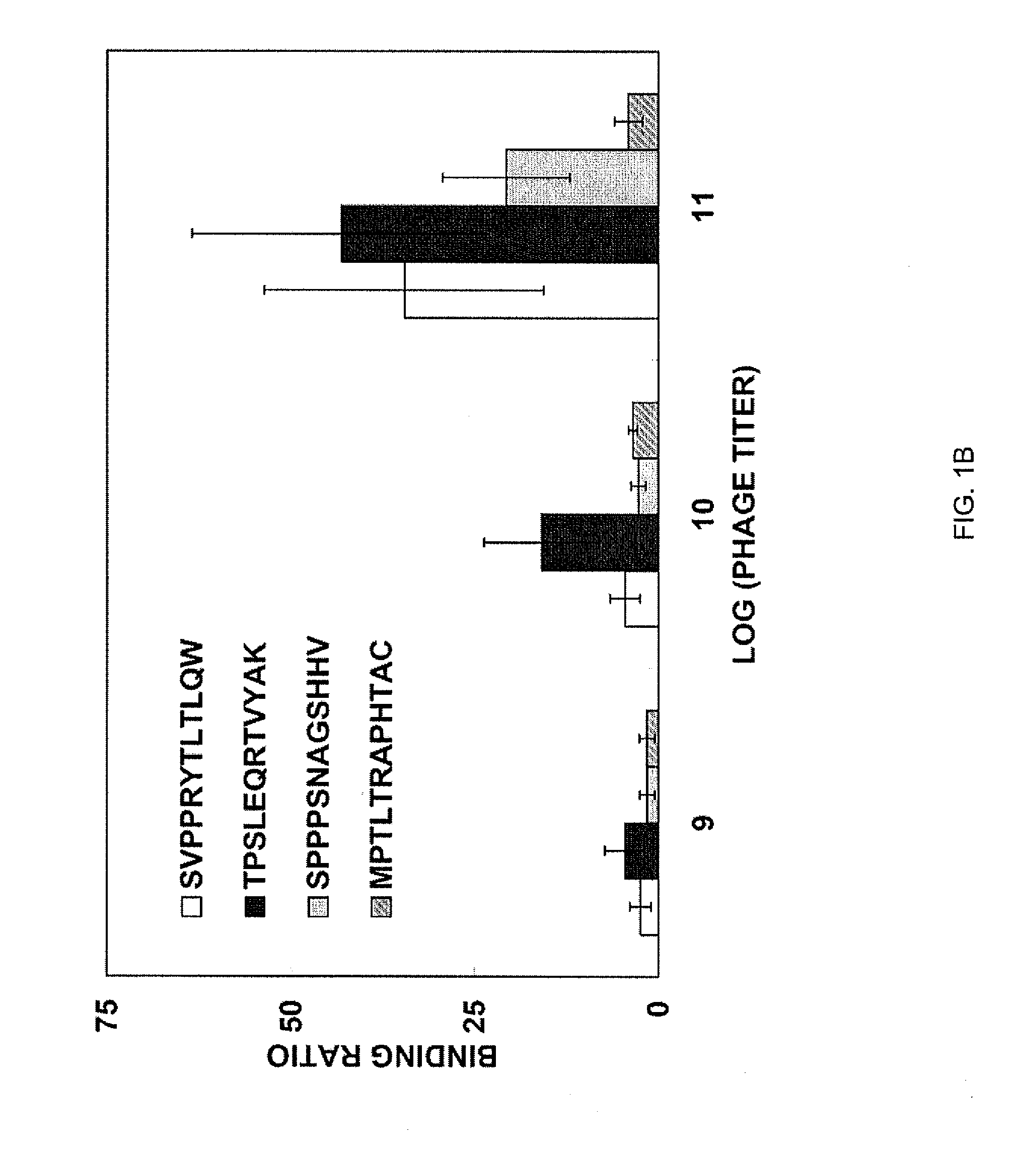 Peptides specific for human blood outgrowth endothelial cells