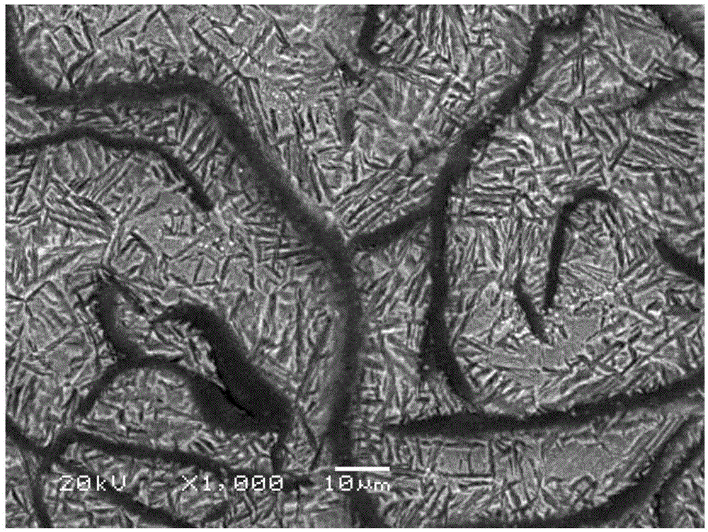 A kind of multi-element micro-alloyed bainite gray cast iron, cylinder liner and preparation method thereof