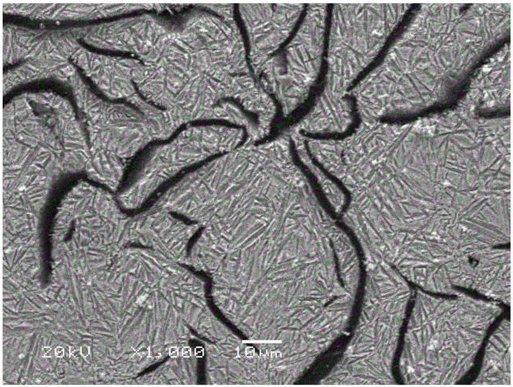 A kind of multi-element micro-alloyed bainite gray cast iron, cylinder liner and preparation method thereof