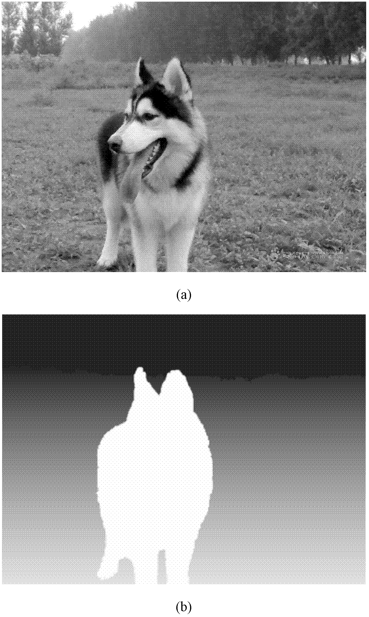 Virtual viewpoint image generation process on basis of depth map segmentation and rendering