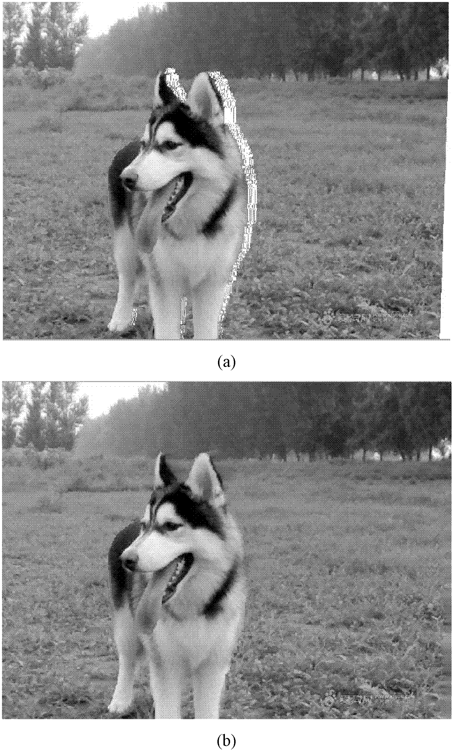 Virtual viewpoint image generation process on basis of depth map segmentation and rendering