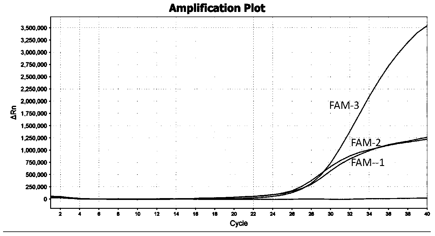 Method for detecting HLA-B * 5801 allele based on real-time fluorescence PCR