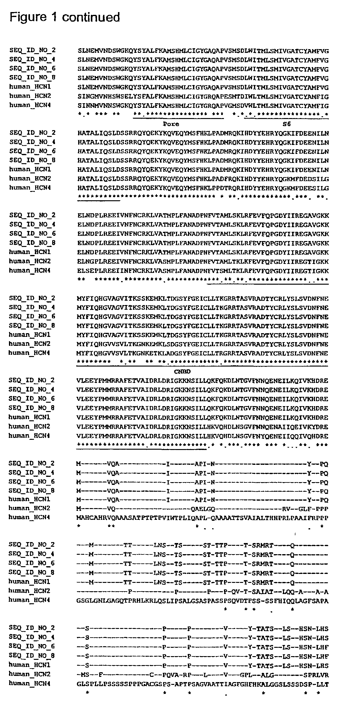 Full length human HCN1Ih channel subunit and variants