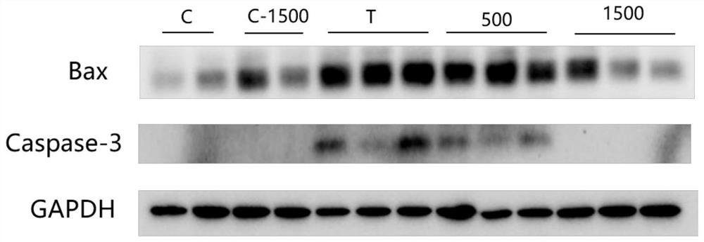 Application of CG dipeptide in the preparation of drugs for the prevention and treatment of acute liver failure