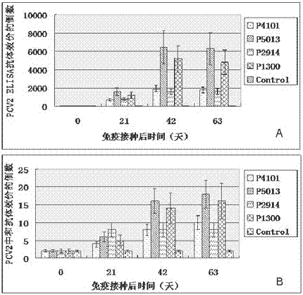 A kind of porcine circovirus type 2 immune protection polypeptide and vaccine