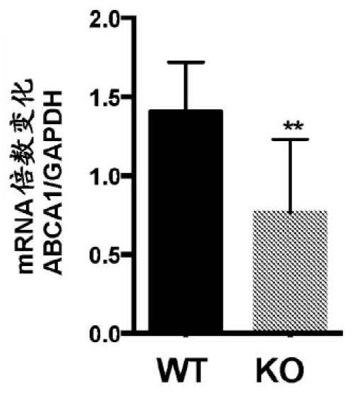 Method for treating kidney disorders