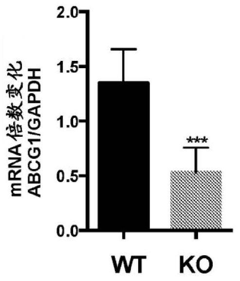 Method for treating kidney disorders