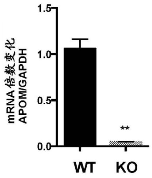 Method for treating kidney disorders