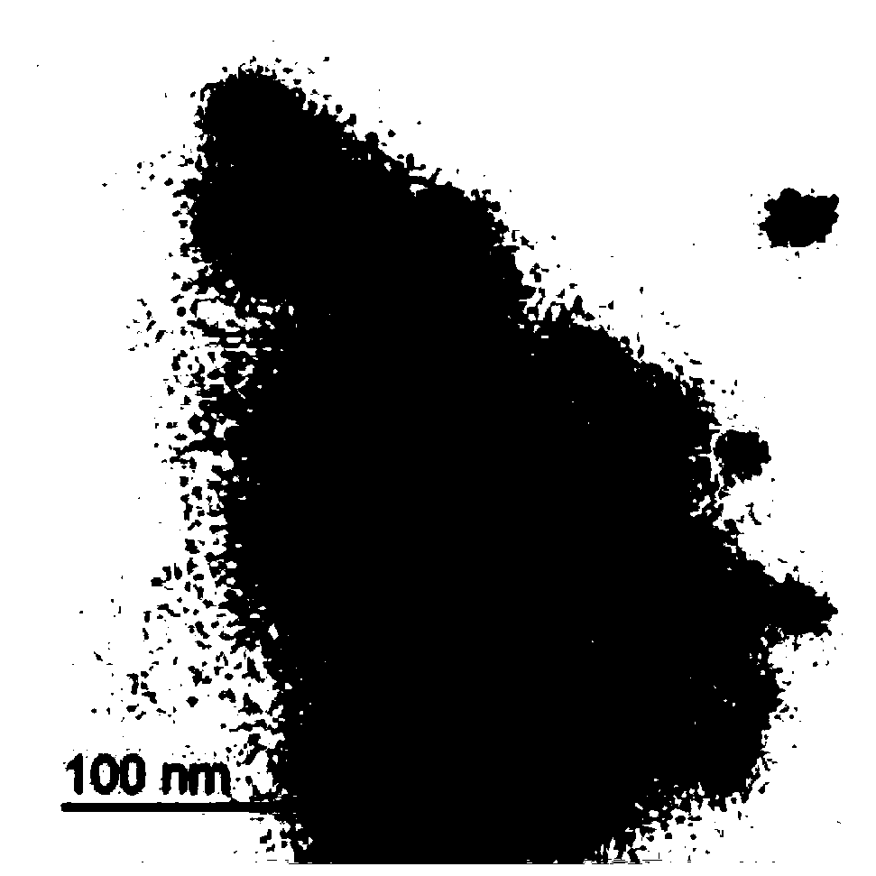 Platinum nanocluster with uricase-like activity and preparation method of platinum nanocluster