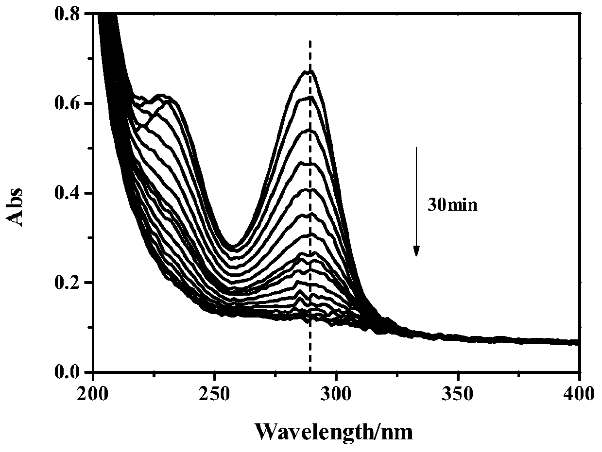 Platinum nanocluster with uricase-like activity and preparation method of platinum nanocluster