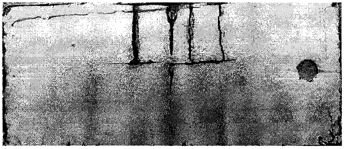 Preparation method of epoxy/polyester powdery paint which contains glass fiber and possesses self-healing capacity