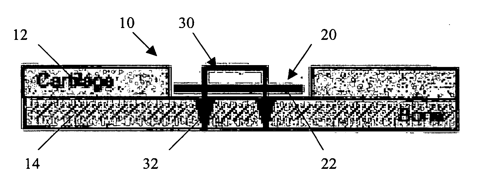 Viable tissue repair implants and methods of use