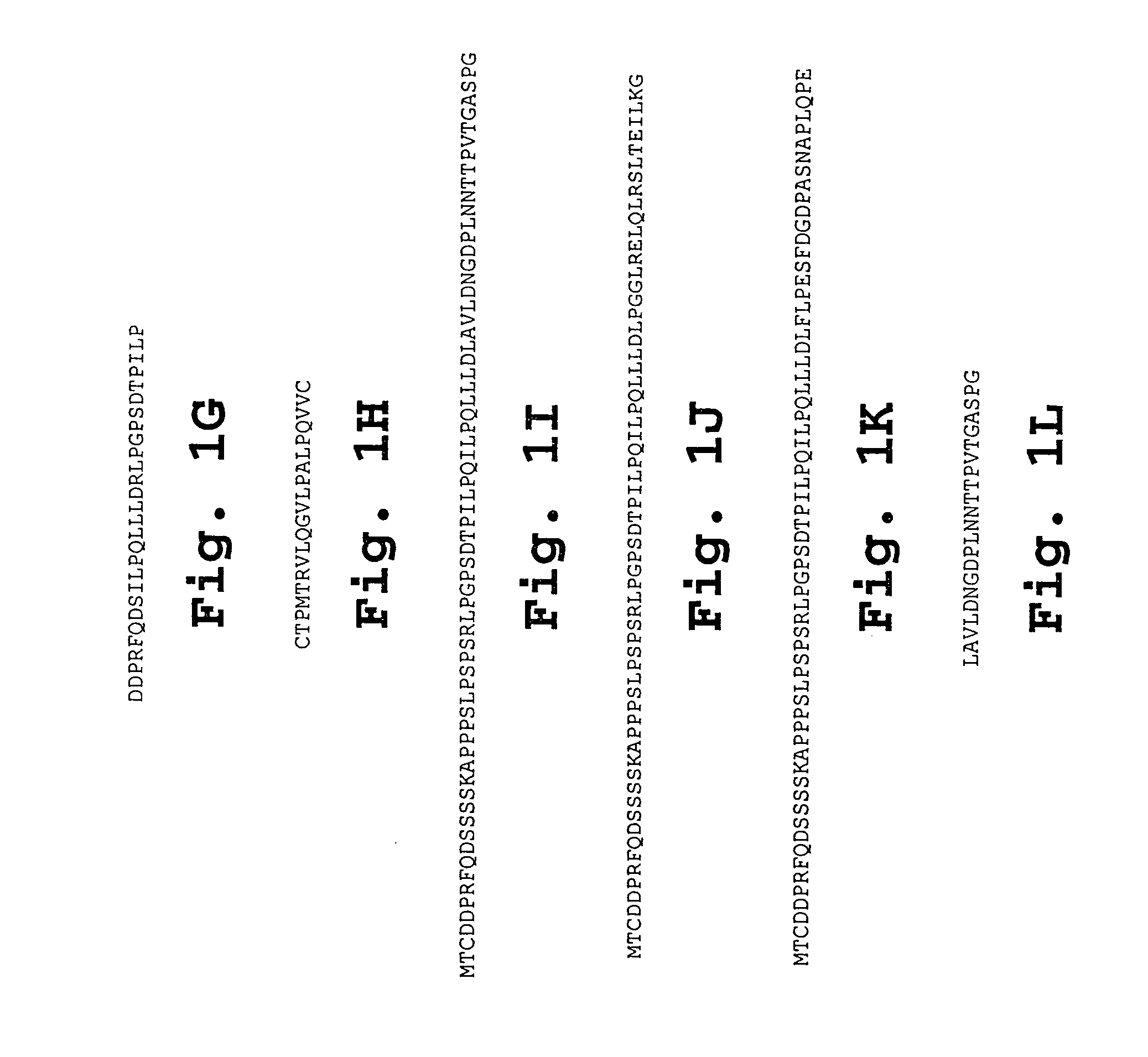 Chorionic gonadotropin DNA vaccines and methods