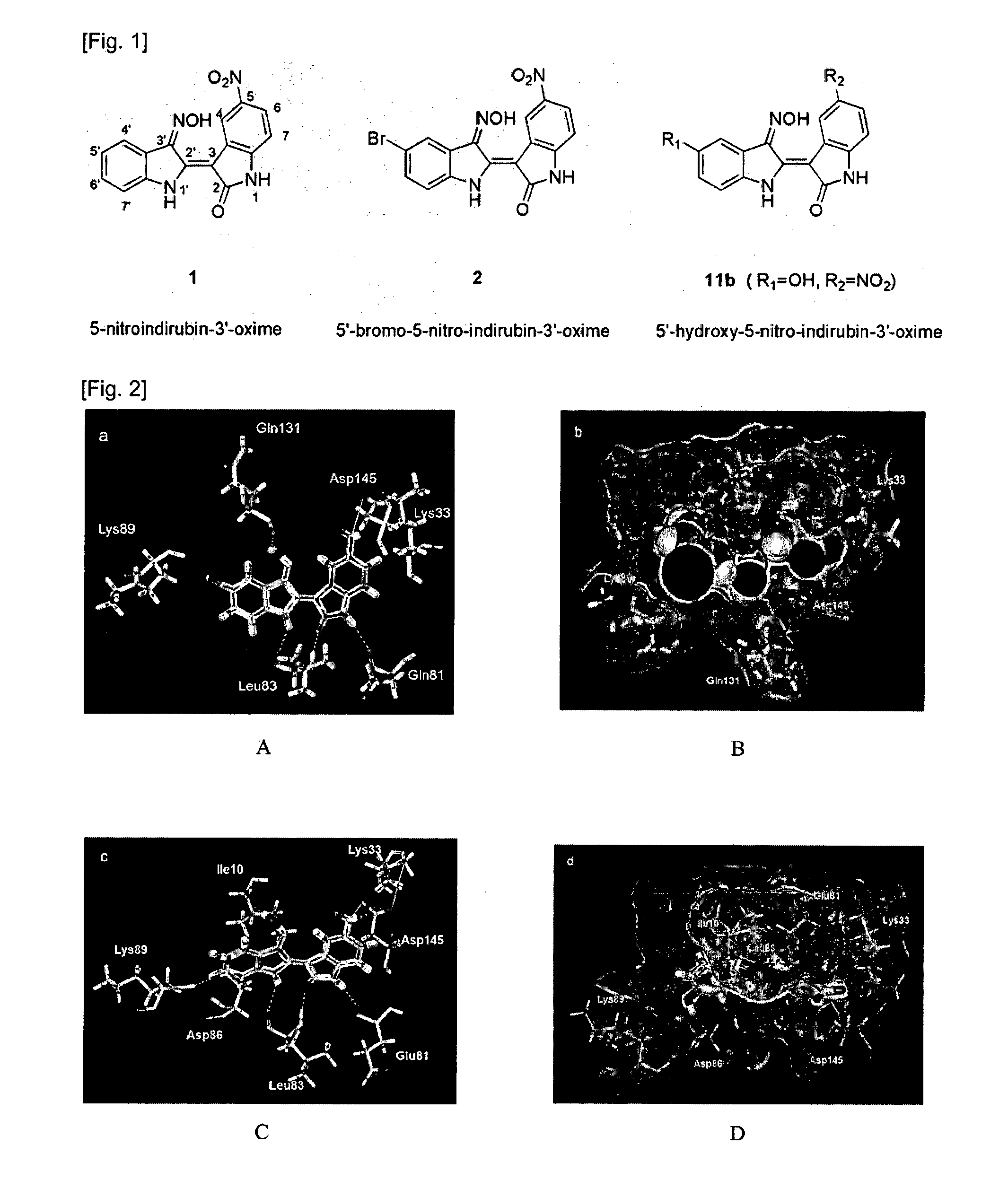 Indirubin-3'-oxime derivatives as potent cyclin dependent kinase inhibitors