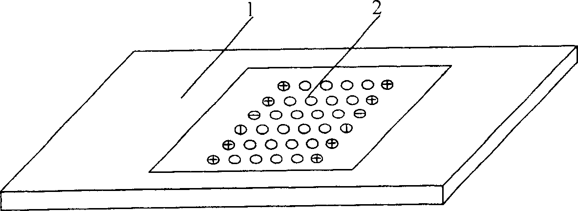 Peptide nucleic acid chip for detecting muatatonal site of hepatitis B virus and its preparing method