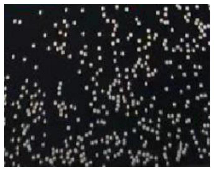 DNA fluorescence in situ hybridization BCR/ABL fusion state detection method and detection system