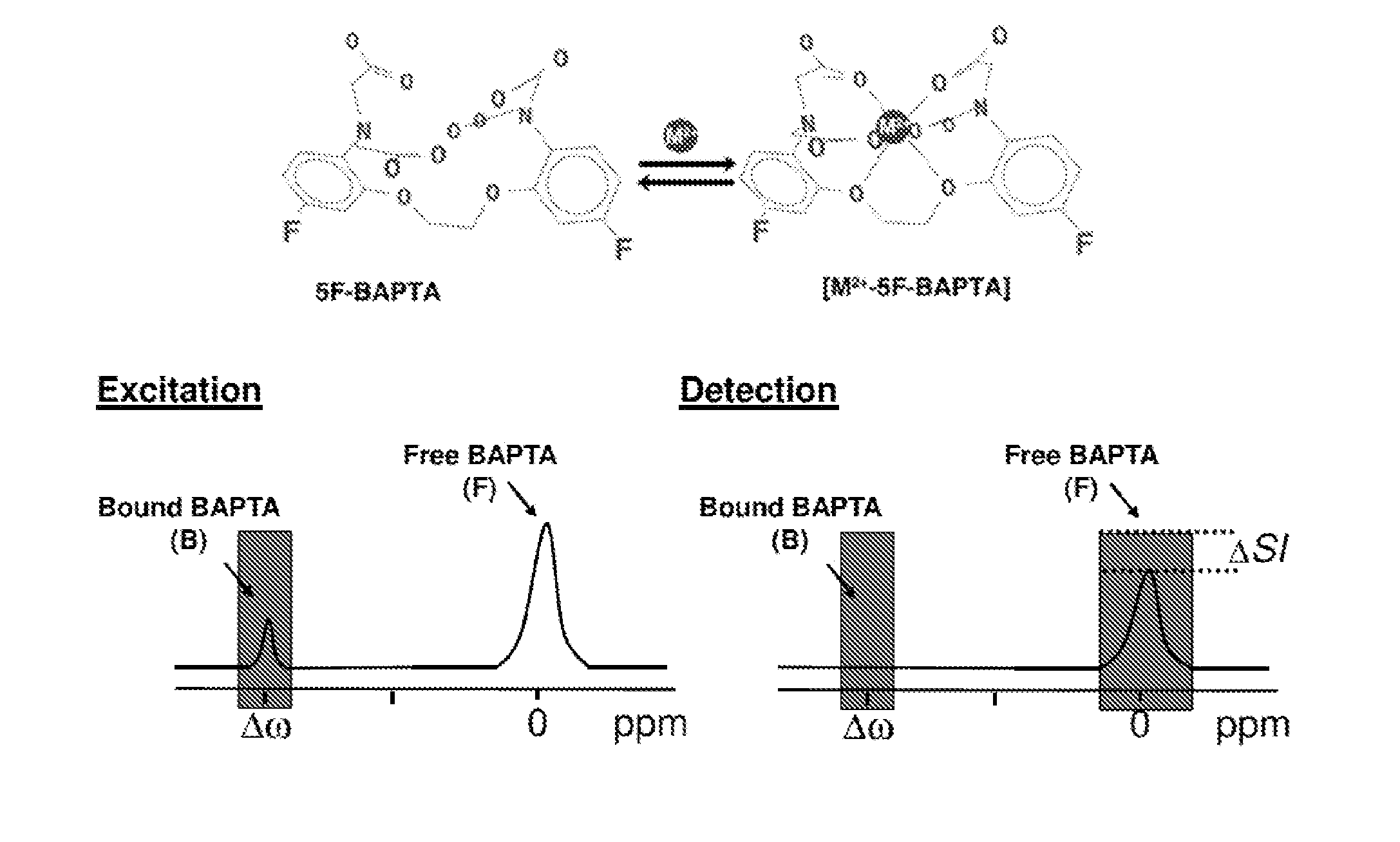 Non-invasive sensing of free metal ions using ion chemical exchange saturation transfer