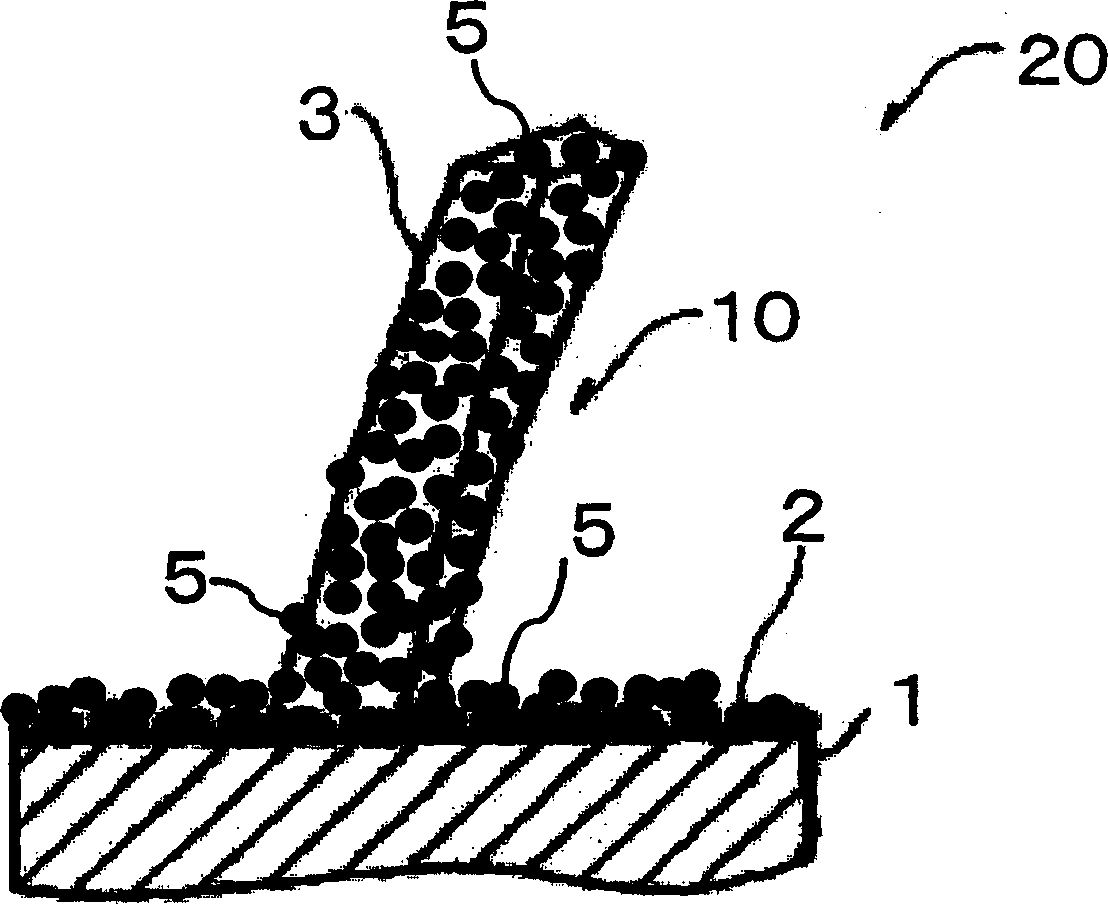 Photocatalyst material and process for producing the same