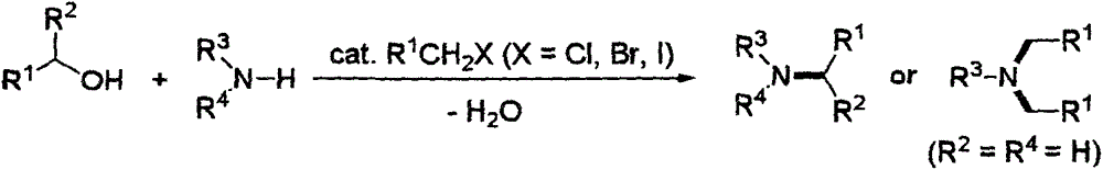 Green method for preparing amine derivatives from alcohols and amines