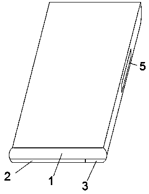 a mobile terminal