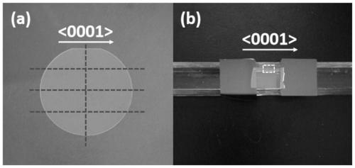 Molybdenum disulfide@molybdenum disulfide core-shell nano rod growing along &lt;010&gt; crystal orientation and preparation method thereof