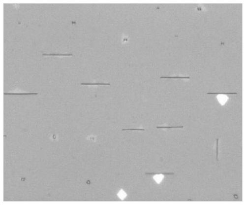 Molybdenum disulfide@molybdenum disulfide core-shell nano rod growing along &lt;010&gt; crystal orientation and preparation method thereof