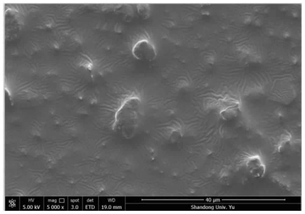 Wetting-resistant and oil-stain-resistant Janus type distillation membrane as well as preparation method and application thereof