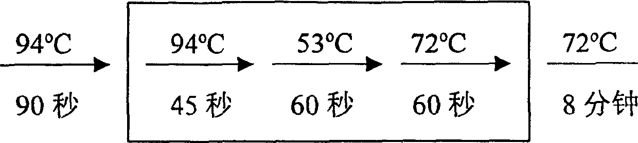 Enterpeptidase light chain variant with high activity and high stability