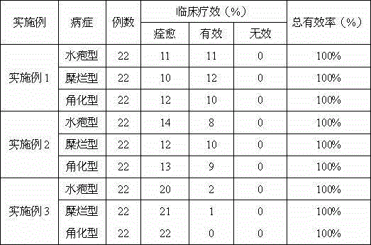 Traditional Chinese medicine (TCM) preparation for treating beriberi